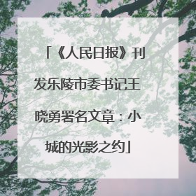 《人民日报》刊发乐陵市委书记王晓勇署名文章：小城的光影之约