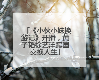 《小伙小妹换游记》开播，黄子韬徐艺洋跨国交换人生