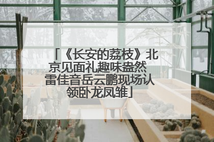 《长安的荔枝》北京见面礼趣味盎然 雷佳音岳云鹏现场认领卧龙凤雏