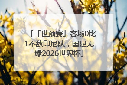 「世预赛」客场0比1不敌印尼队，国足无缘2026世界杯
