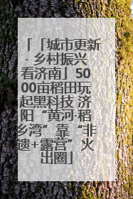 「城市更新· 乡村振兴看济南」5000亩稻田玩起黑科技 济阳“黄河·稻乡湾”靠“非遗+露营”火出圈