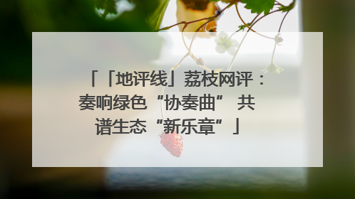 「地评线」荔枝网评：奏响绿色“协奏曲” 共谱生态“新乐章”