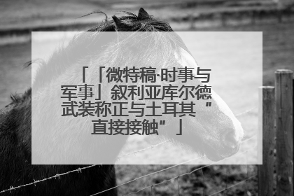 「微特稿·时事与军事」叙利亚库尔德武装称正与土耳其“直接接触”