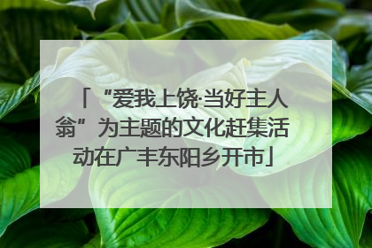 “爱我上饶·当好主人翁”为主题的文化赶集活动在广丰东阳乡开市