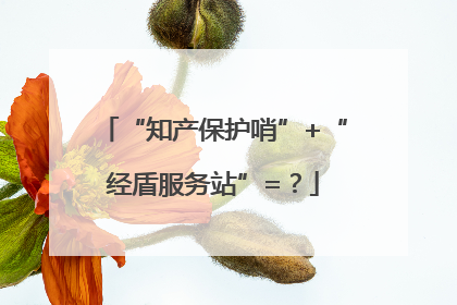 “知产保护哨”+“经盾服务站”=？