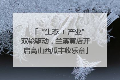 “生态 + 产业”双轮驱动，兰溪黄店开启高山西瓜丰收乐章