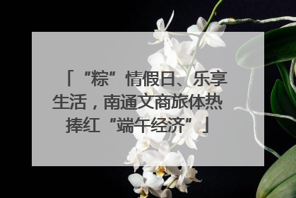 “粽”情假日、乐享生活，南通文商旅体热捧红“端午经济”