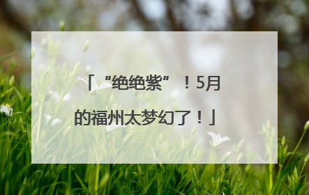 “绝绝紫”！5月的福州太梦幻了！