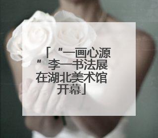 “一画心源”李一书法展在湖北美术馆开幕
