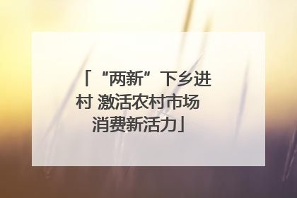 “两新”下乡进村 激活农村市场消费新活力