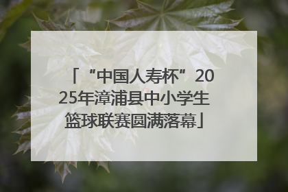 “中国人寿杯”2025年漳浦县中小学生篮球联赛圆满落幕