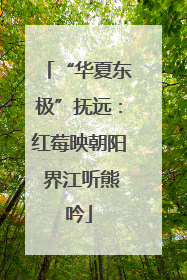 “华夏东极”抚远：红莓映朝阳 界江听熊吟