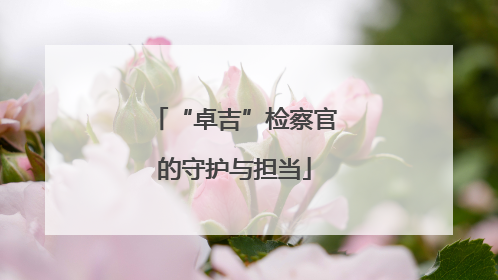 “卓吉”检察官的守护与担当
