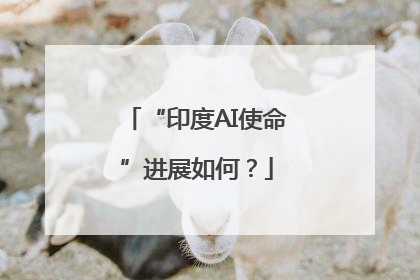 “印度AI使命”进展如何？
