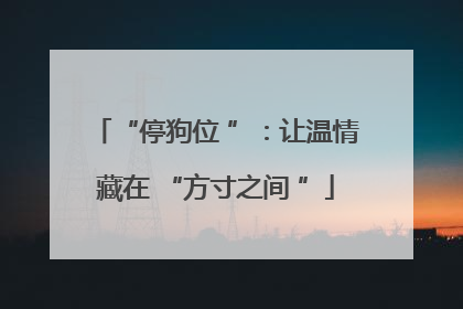 “停狗位 ”：让温情藏在 “方寸之间 ”