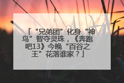 “兄弟团”化身“神鸟”智夺灵珠，《奔跑吧13》今晚“百谷之王”花落谁家？