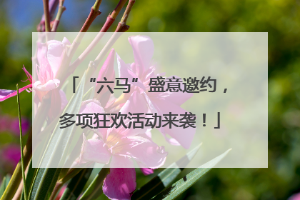 “六马”盛意邀约，多项狂欢活动来袭！