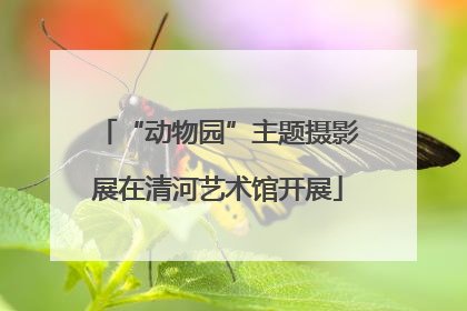 “动物园”主题摄影展在清河艺术馆开展