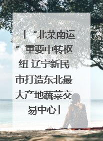 “北菜南运”重要中转枢纽 辽宁新民市打造东北最大产地蔬菜交易中心