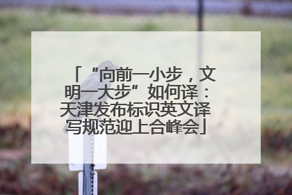 “向前一小步，文明一大步”如何译：天津发布标识英文译写规范迎上合峰会