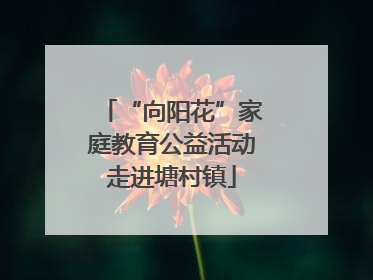 “向阳花”家庭教育公益活动走进塘村镇