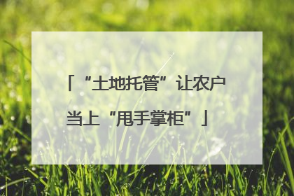 “土地托管”让农户当上“甩手掌柜”