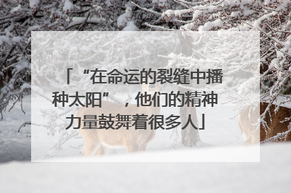 “在命运的裂缝中播种太阳”，他们的精神力量鼓舞着很多人