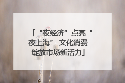 “夜经济”点亮“夜上海” 文化消费绽放市场新活力
