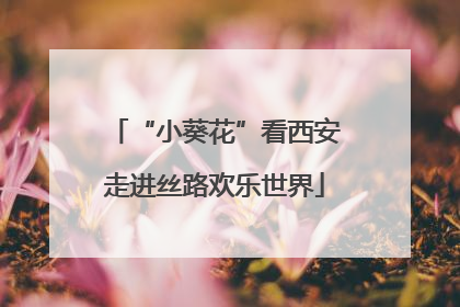 “小葵花”看西安走进丝路欢乐世界