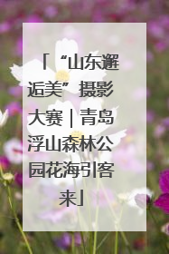 “山东邂逅美”摄影大赛｜青岛浮山森林公园花海引客来