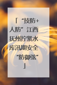 “技防+人防”江西抚州拧紧水库汛期安全“防御弦”
