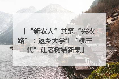 “新农人”共筑“兴农路”：返乡大学生“桃三代”让老树结新果