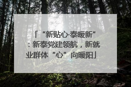 “新贴心·泰暖新”：新泰党建领航，新就业群体“心”向暖阳