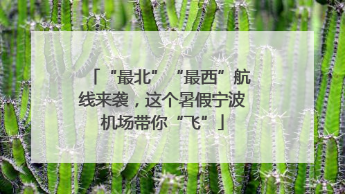 “最北”“最西”航线来袭，这个暑假宁波机场带你“飞”