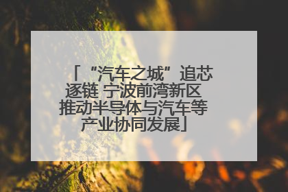 “汽车之城”追芯逐链 宁波前湾新区推动半导体与汽车等产业协同发展
