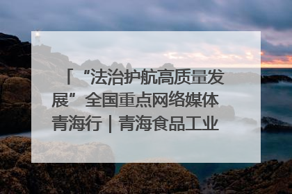 “法治护航高质量发展”全国重点网络媒体青海行｜青海食品工业协会：架起“青字号”美食的产业化桥梁