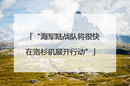 “海军陆战队将很快在洛杉矶展开行动”