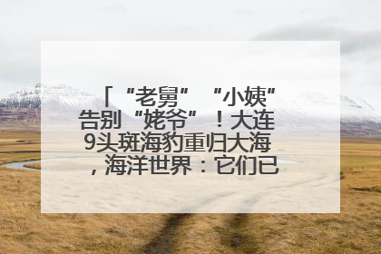 “老舅”“小姨”告别“姥爷”！大连9头斑海豹重归大海，海洋世界：它们已具备野外生存能力