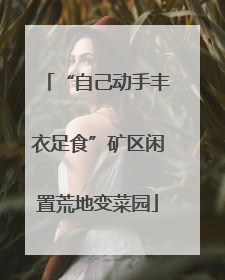 “自己动手丰衣足食”矿区闲置荒地变菜园