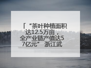 “茶叶种植面积达12.5万亩，全产业链产值达57亿元” 浙江武义茶产业全链发展“加速度”
