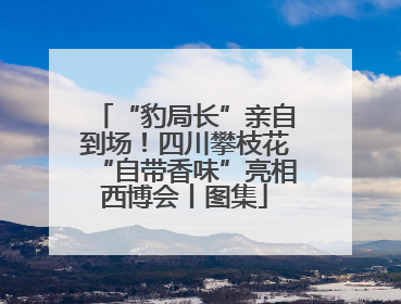 “豹局长”亲自到场！四川攀枝花“自带香味”亮相西博会丨图集