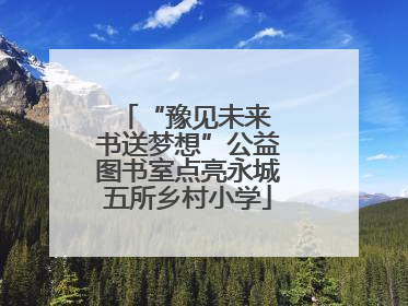 “豫见未来 书送梦想”公益图书室点亮永城五所乡村小学