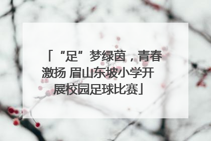 “足”梦绿茵，青春激扬 眉山东坡小学开展校园足球比赛