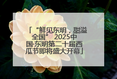 “鲜见东明，甜溢全国” 2025中国·东明第二十届西瓜节即将盛大开幕