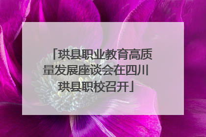 珙县职业教育高质量发展座谈会在四川珙县职校召开