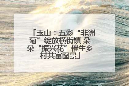 玉山:五彩“非洲菊”绽放横街镇 朵朵“振兴花”催生乡村共富图景
