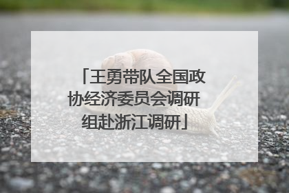 王勇带队全国政协经济委员会调研组赴浙江调研