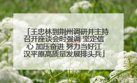 王忠林到荆州调研并主持召开座谈会时强调 坚定信心 加压奋进 努力当好江汉平原高质量发展排头兵