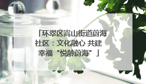 环翠区嵩山街道蔚海社区：文化融心 共建幸福“悦龄蔚海”