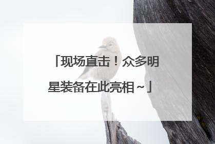 现场直击！众多明星装备在此亮相～